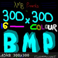300z300_16color_bmp.bmp - 45kB
